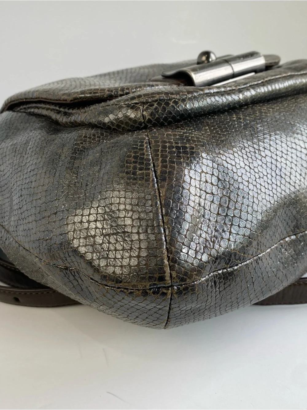 Coach python embossed